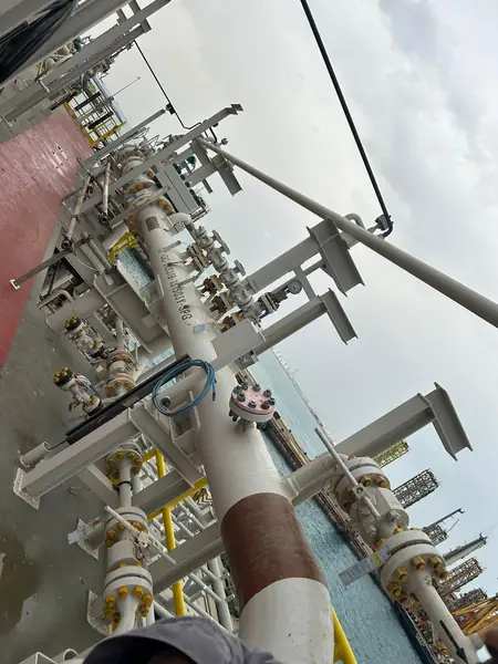 Riser pipe with flanged joints on an offshore platform