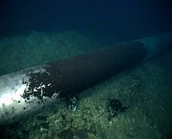 Subsea pipeline section on the seabed